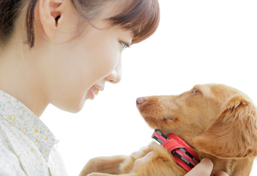 ペット関連事業